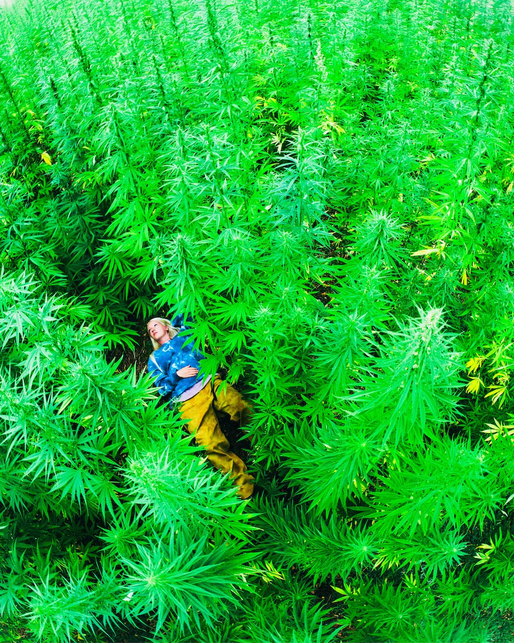 Gramicci Hemp