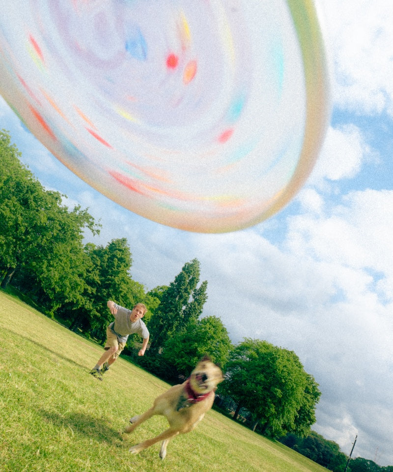 Person and a dog playing with a Gramicci Wham-O Yin Yang Frisbee in a park.